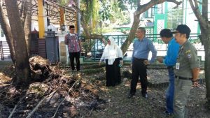 Main Bakar Pohon, Sutarmidji Ancam Tipiring
