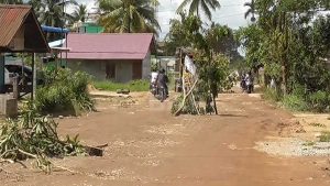 Pembangunan Jalan Desa Kapur Sampai Kumpai Di Mulai Tahun Ini