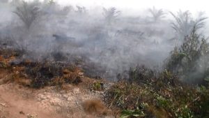 Atasi Karhutla, Pemrov Kalbar Telah Siapkan Alat Canggih