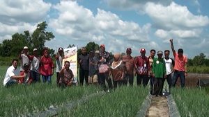Dorong Peningkatan Kesejahteraan Petani Melalui Program Pemerintah