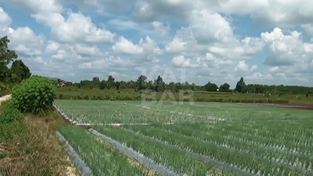 Dinas Pertanian Kalbar Berikan Sosialisasi Good Agriculture Practice