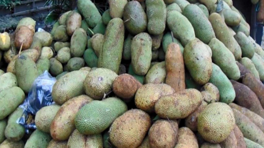 Musim Buah Cempedak Tiba, PKL Dulang Rupiah