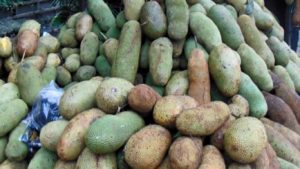 Musim Buah Cempedak Tiba, PKL Dulang Rupiah