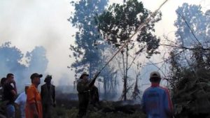 20 Hektar Lahan Gambut Hangus Terbakar