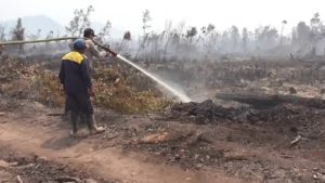 Antisipasi Karhutla, Polisi Panggil Pemilik Lahan Yang Terbakar