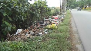 Warga Keluhkan Tumpukan Sampah Di Jalan Trans Kalimantan