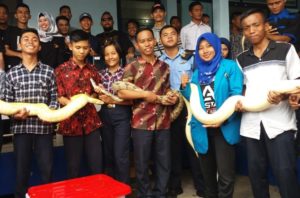 Edukasi Reptil Akhiri PPL Enam Mahasiswa IAIN Pontianak