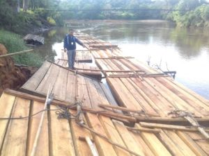 Polda Kalbar Gerebek Sawmill Pengolah Kayu Ilegal di Ketapang