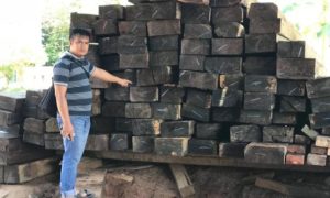 Lagi! Polda Amankan Kayu Ilegal di Ketapang