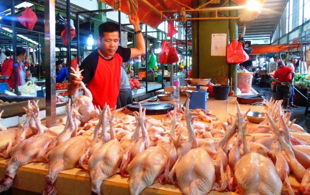 Bukan Hanya Sapi, Penjualan Ayam Juga Turun. Ada Apa?