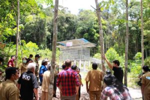 Sintang Punya Sekolah Hutan Jerora Orangutan Center