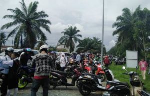 Seekor Ular Buat Macet Jalan Sultan Hamid II