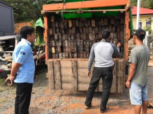 Truk Bermuatan Ratusan Kayu Belian Ilegal Ditangkap