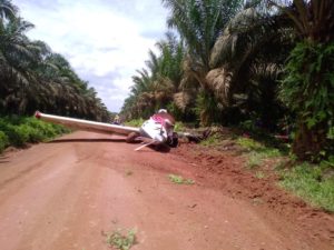 Pesawat Pengangkut Benih Sawit Jatuh di Ketapang