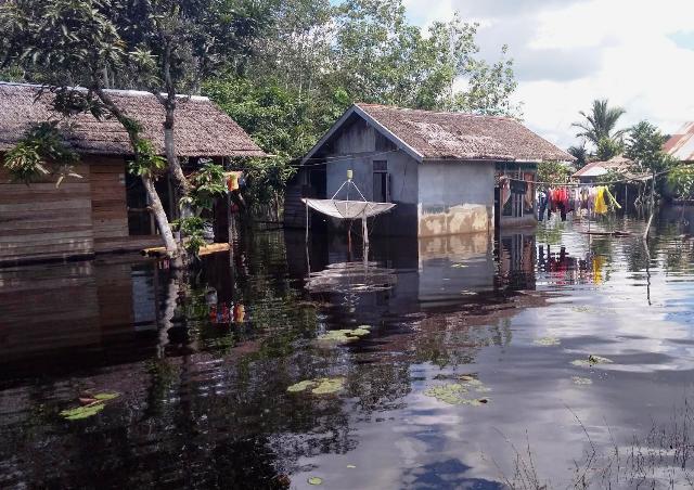 Sudah Seminggu Banjir Rendam Rumah Warga di Sebukit Rama