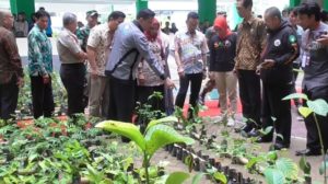 IAIN Gelar Kegiatan Ta’aruf dan Penanaman 1.000 Pohon
