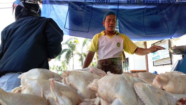 Harga Ayam Akan Naik Terus Hingga Tahun Baru