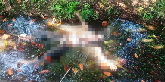 Terungkap! Ini Identitas Mayat Lelaki Yang Ditemukan di Wajok Hilir