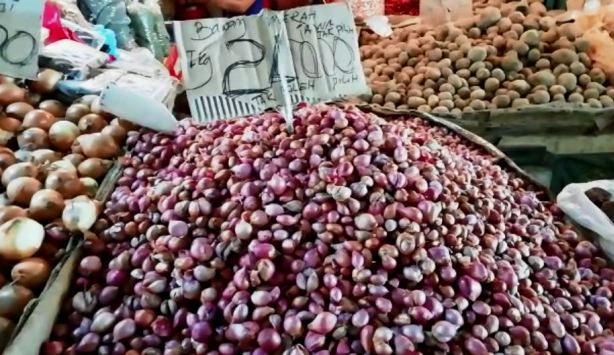 Harga Bawang Merah Naik Rp. 6.000