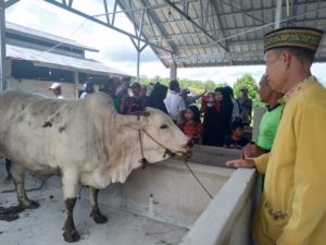 Masyarakat Merasa Terbantu Dibangun Kandang Sapi Modern