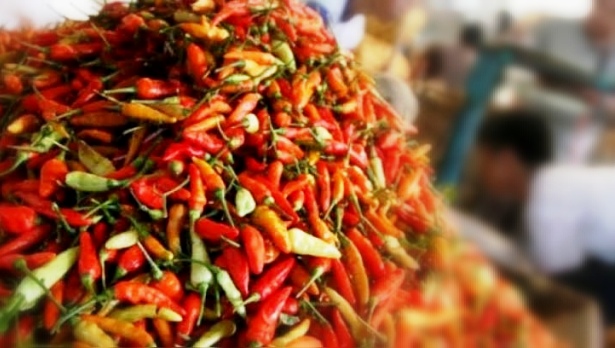Harga Cabe Rawit Naik 34 Ribu Perkilo