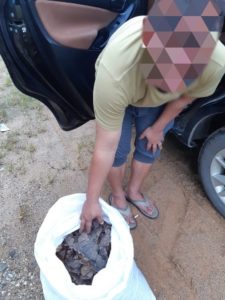 Penjual Sisik Trenggiling di Balai Karangan Dibekuk