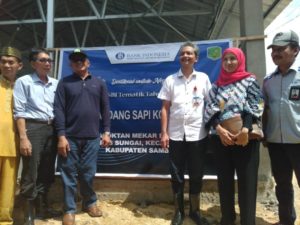 BI Bangun Kandang Sapi Modern Dukung Pertanian Terintegrasi