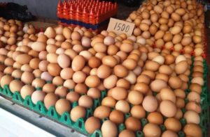 Wah Wah! Harga Telur Naik Rp 1.000/ Kg Setiap Minggu