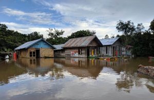 55 KK Masih Terdampak Banjir di Desa Kuala Mandor