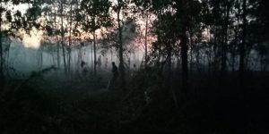 4 Hektar Lahan Terbakar