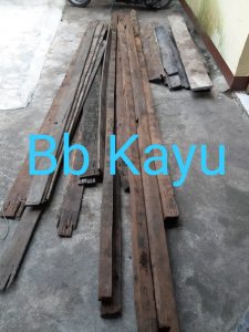 Diringkus Curi Kayu Belian Lantai Rumah Kosong