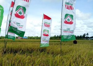 Pilkada Sambas 2020, Gerbang Tani PKB Kalbar Pertimbangkan Figur Mursalin