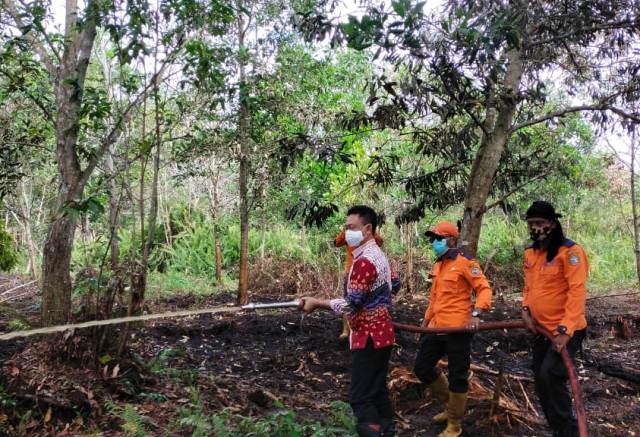 Edi Kaji Sanksi Denda yang Besar Untuk Pemilik Lahan Terbakar