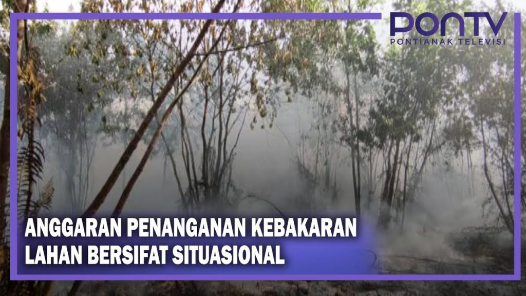 Anggaran Penanganan Kebakaran Lahan Bersifat Situasional