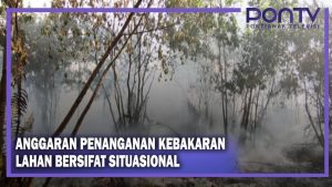 Anggaran Penanganan Kebakaran Lahan Bersifat Situasional