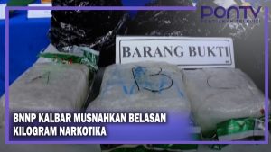 BNNP Kalbar Musnahkan Belasan Kilogram Narkotika