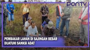 Pembakar Lahan di Sajingan Besar Dijatuhi Sanksi Adat