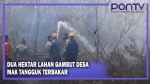 Dua Hektar Lahan Gambut Desa Mak Tangguk Terbakar