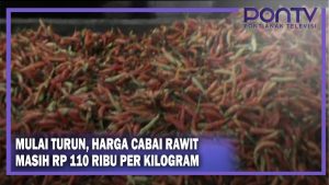 Mulai Turun, Harga Cabai Rawit Masih Rp 110 Ribu Per Kilogram