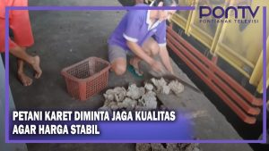 Petani Karet Diminta Jaga Kualitas Agar Harga Stabil
