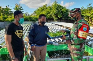Anggota Paldam XII/Tpr Lakukan Pendampingan Budidaya Hidroponik Warga