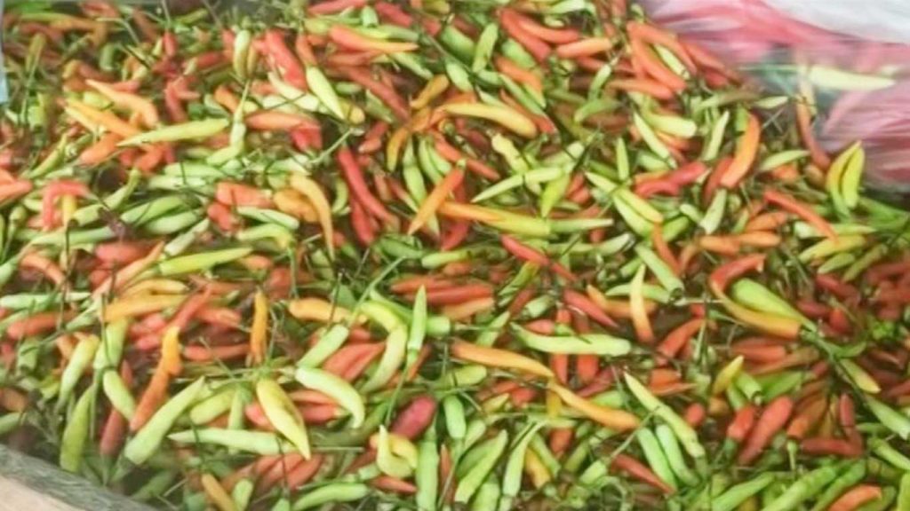 Harga Cabai Rawit Masih Tinggi, Rp 110 Ribu Perkilogram