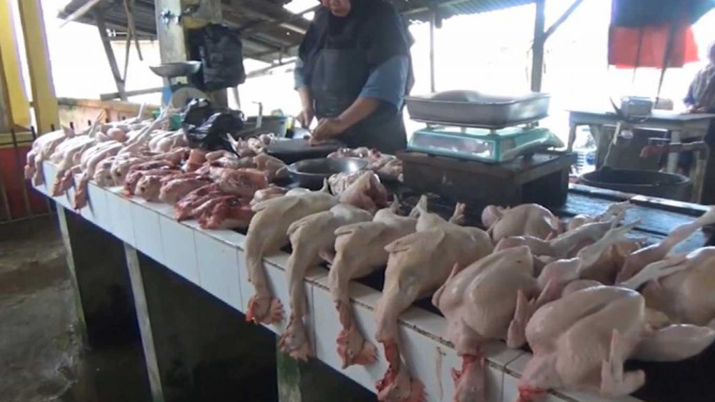 Harga Ayam Potong Naik, Pembeli Sepi