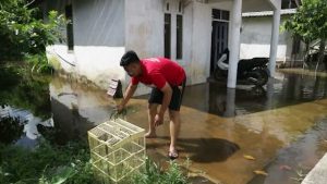 Waspada Pasang Air Laut Akan Terjadi Hingga 8 Januari