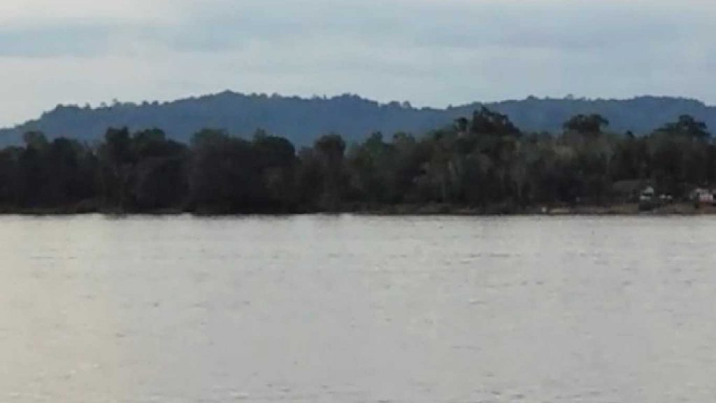 Cerita Mistik Hantu Hutan di Mungguk Betung, Berwujud Macan Dahan