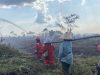 Karhutla Mencekam Kubu Raya: Puluhan Hektar Lahan Ludes Dilalap Api di Sungai Raya dan Sungai Kakap