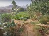 Mengejutkan! Pinggiran Kota Suci Mekkah Kini Subur Menghijau, Ada Apa di Balik Gunung Arafah?