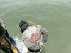 Insiden Tambang Laut Tewaskan Penambang di Muntok, Pemilik Ponton Terancam Sanksi Pidana