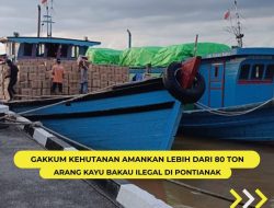 80 Ton Lebih Arang Bakau dari Batu Ampar Kubu Raya Disita, Dua Nahkoda dan Kapalnya Turut Ditahan