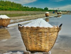 Kawasan Industri Garam Nasional di Rote Ndao Targetkan NaCl di Atas 97 Persen